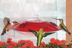 Droll Yankees' Window Hummer 3 Hummingbird Feeder